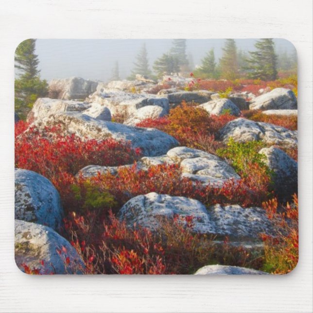 Mousepad Queda da região selvagem dos Sods da zorra cénico (Frente)