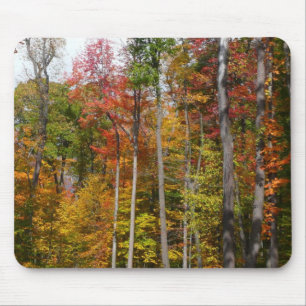 Mousepad Queda na fotografia do outono da Floresta Colorida