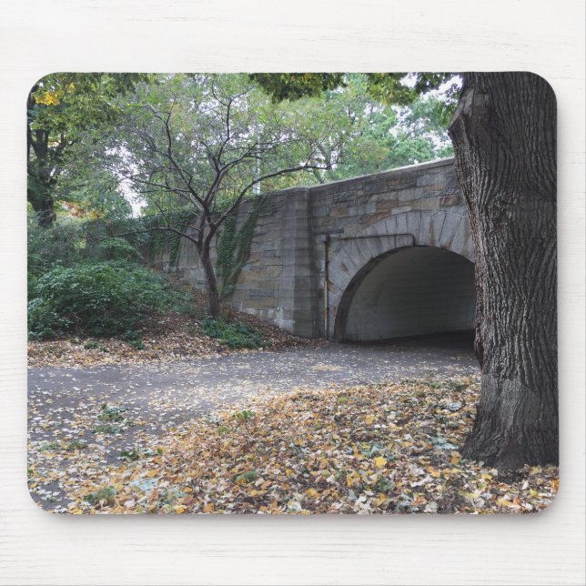 Mousepad Queda no Riverside Park Stone Archway Nova York NY (Frente)