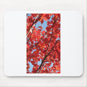 Mousepad Queda Vermelha