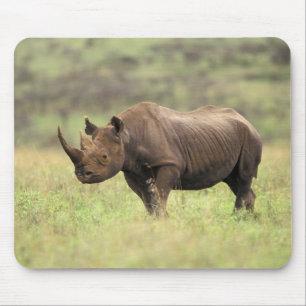 Mousepad Quênia, Parque Nacional de Nairobi. Rinoceronte Ne