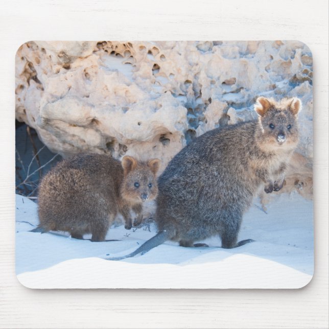Mousepad Quokka (Frente)