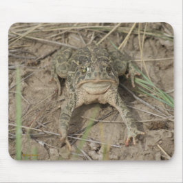 Mousepad R10 Prairie Toad
