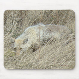 Mousepad R13 Coyote na grama alta
