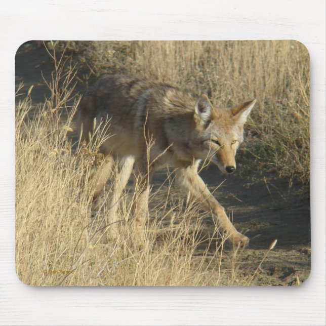 Mousepad R14 Coyote Caminhando (Frente)