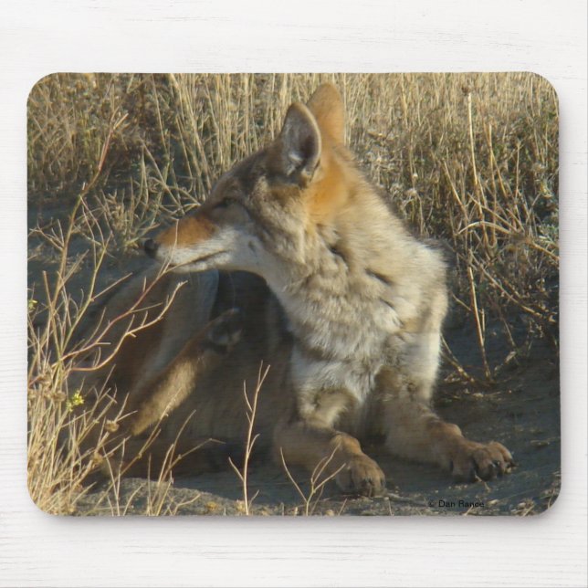 Mousepad R16 Coyote Deitado (Frente)