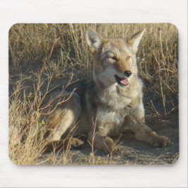 Mousepad R18 Coyote Deitado