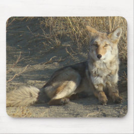 Mousepad R19 Coyote Deitado