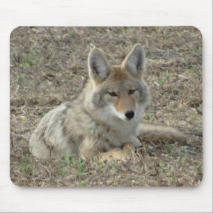 Mousepad R22 Coyote Deitado