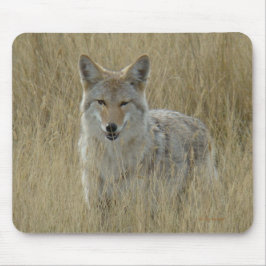 Mousepad R2 Coyote em Grama Alta