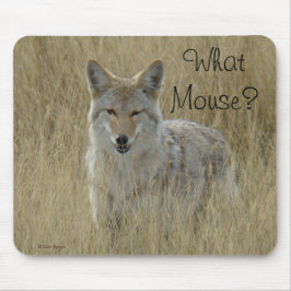Mousepad R2 Coyote em Grama Alta