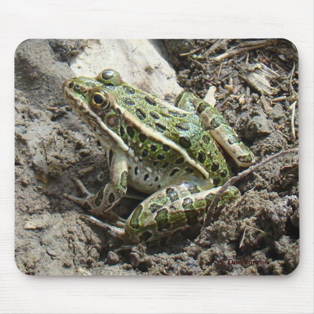Mousepad R3 Rã-Leopardo (Frente)