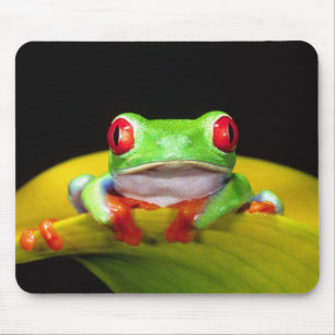 Mousepad Rã-arbórea-de-olho-vermelho, Agalychinis callidrya