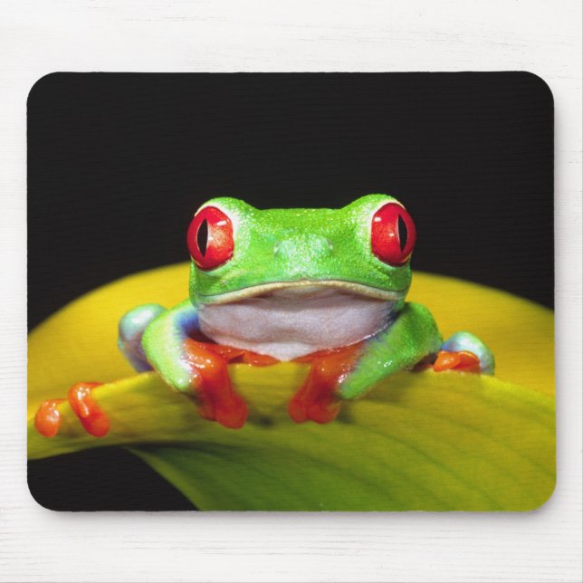 Mousepad Rã-arbórea-de-olho-vermelho, Agalychinis callidrya (Frente)