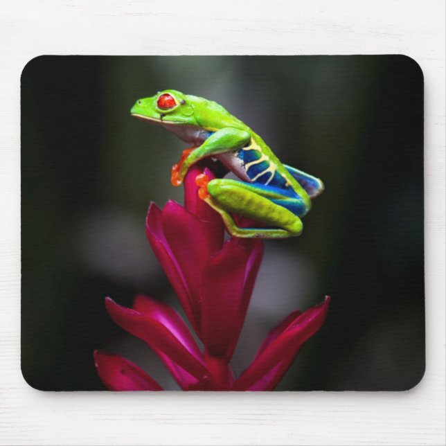 Mousepad Rã-de-olho-vermelho (Frente)