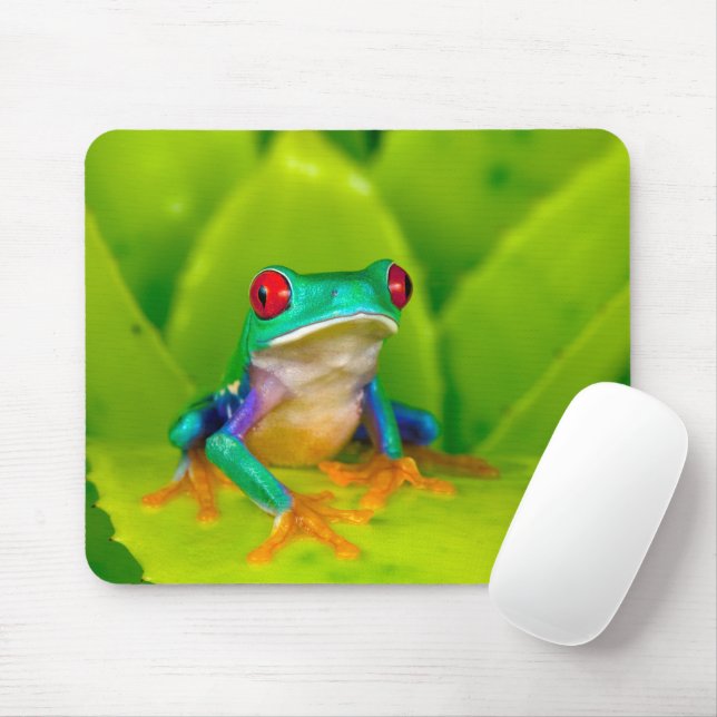 Mousepad Rã de olhos vermelhos, Costa Rica (Com mouse)