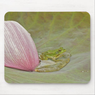 Mousepad Rã e pétala de flor de lótus, China,