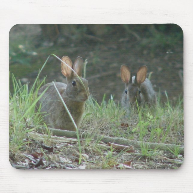 Mousepad Rabbits selvagens Roupa de palha de algodão orient (Frente)
