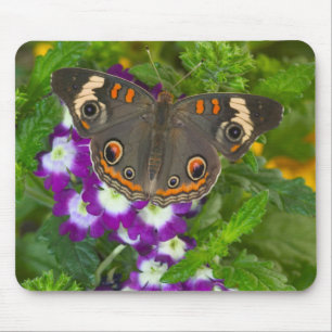 Mousepad Rabo-de-andorinha-preto