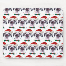 Raça de Cão Great Dane Estrelas de Natal