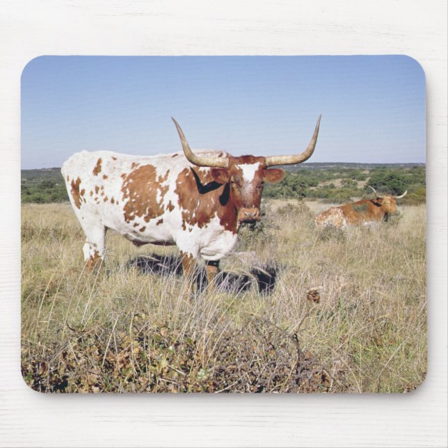 Mousepad Raça de Texas Longhorn (foto) (Frente)