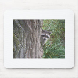 Mousepad Raccoon