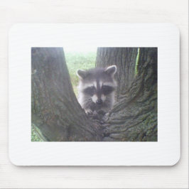 Mousepad Raccoon na Árvore