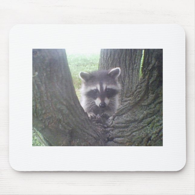 Mousepad Raccoon na Árvore (Frente)