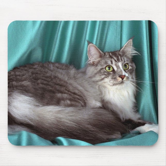 Mousepad Racum de Maine, gato malhado de prata (Frente)