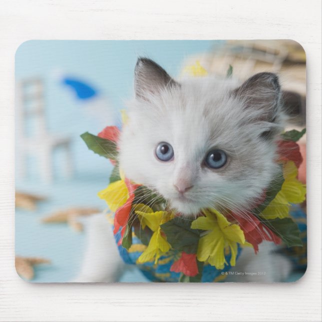 Mousepad Rag Doll Kitten e férias de Verão (Frente)