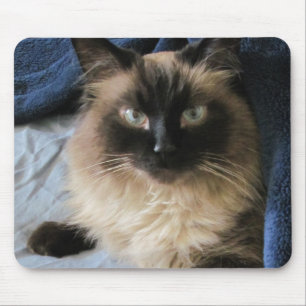Mousepad Ragdoll Cat 