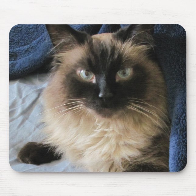 Mousepad Ragdoll Cat  (Frente)