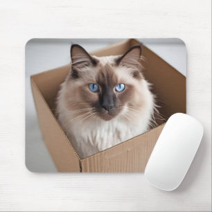 Mousepad Ragdoll Cat Na Caixa De Cartão