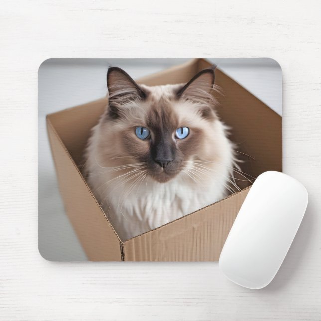 Mousepad Ragdoll Cat Na Caixa De Cartão (Com mouse)