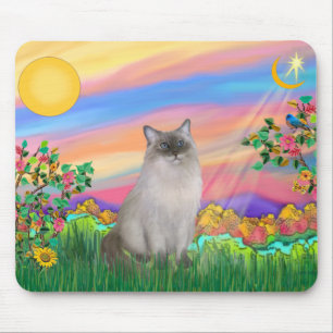 Mousepad Ragdoll Cat (Ponto Azul) - Estrela do Dia
