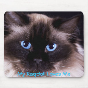 Mousepad Ragdoll IPhone e capas de ipad e tapete do rato