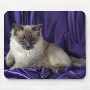 Mousepad Ragdoll, ponto azul
