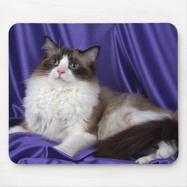 Mousepad Ragdoll, selo bicolor (Frente)