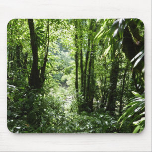 Mousepad Rain Forest II Tropical Verde