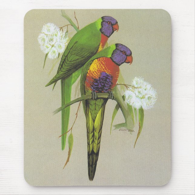 Mousepad Rainbow Lorikeet - Trichoglossus haematodus (Frente)