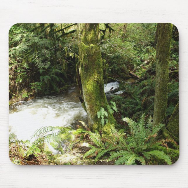Mousepad RainForest Stream Wilderness Natureza Foto Mousepa (Frente)