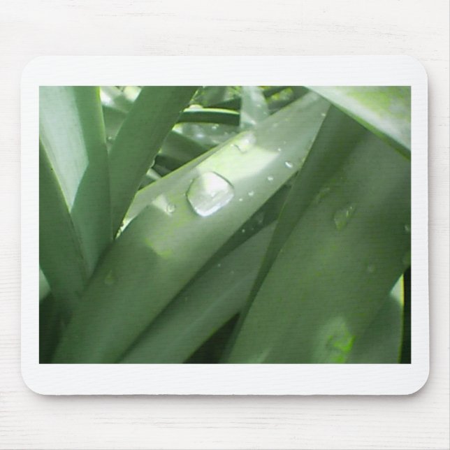 Mousepad Rainy Primavera (Frente)