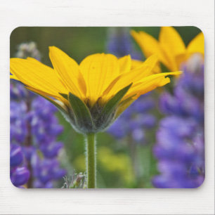 Mousepad Raiz de Balsam e Lupine de Primavera Bloom