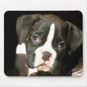 Mousepad rajado do filhote de cachorro do