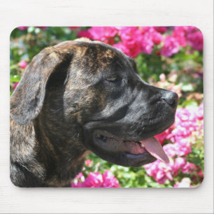 Mousepad rajado do filhote de cachorro do Mastiff