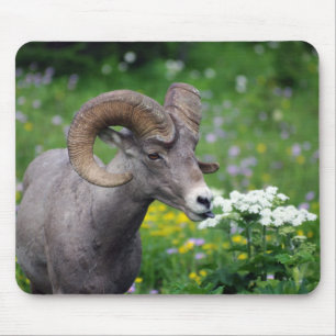 Mousepad Ram - cheirando as flores