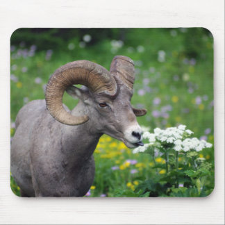 Mousepad Ram - cheirando as flores