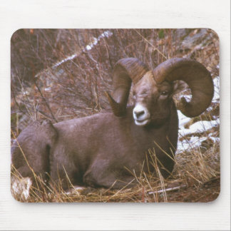 Mousepad Ram do Bighorn