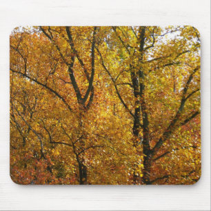 Mousepad Ramais de Folhas Amarelas Brilhantes Coloração d
