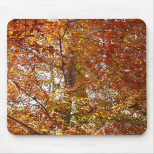 Mousepad Ramais de Laranja Folha de Outono Natureza